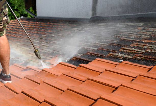 Best Commercial Pressure Washing  in Grand Meadow, MN
