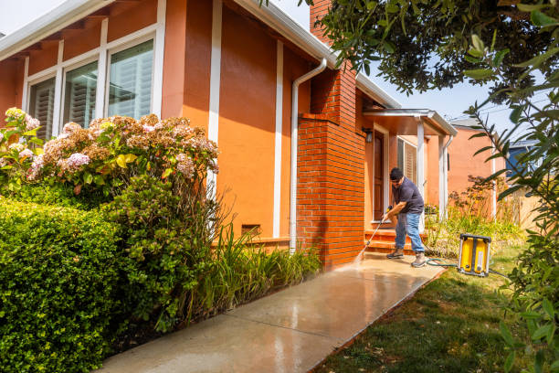 Best Deck Pressure Washing  in Grand Meadow, MN