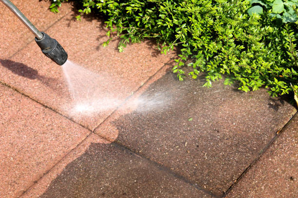 Best Pressure Washing Near Me  in Grand Meadow, MN